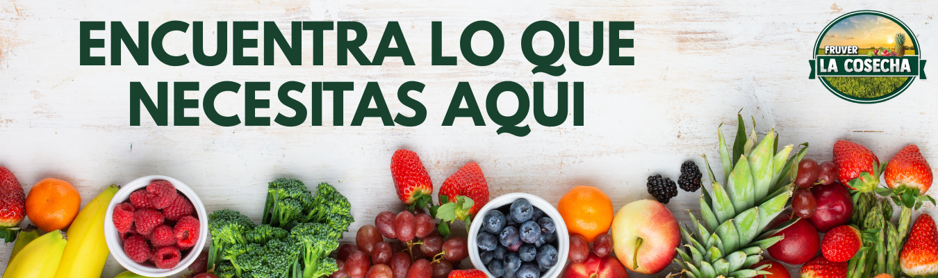 TODOS LOS PRODUCTOS