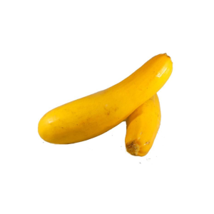 CALABAZIN